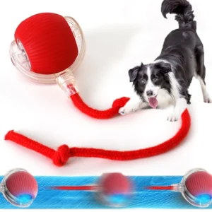 Smart Pet Ball