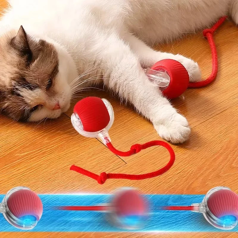 Smart Pet Ball - Image 6