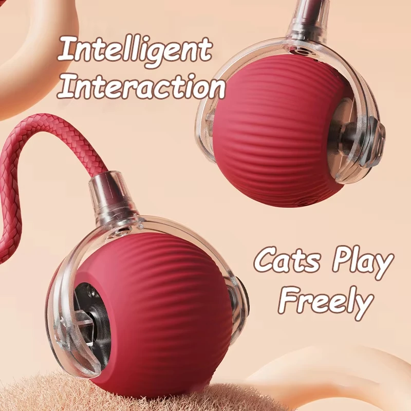 Smart Pet Ball - Image 3